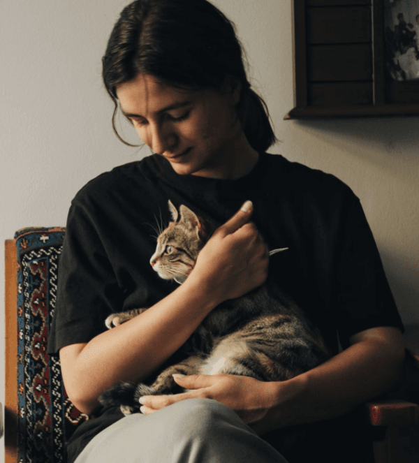 afbeelding van zoekopdracht